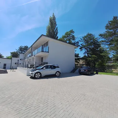 Sunday Rose 3 * Zamardi